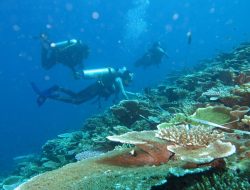 Peduli Akan Kelestarian Habitat Laut, Bupati Bantaeng Turut Serta Turunkan Spider