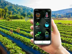 Teknologi Internet of Things pada Greenhouse Bantu Petani Merica di Bantaeng Atasi Masalah Pengeringan