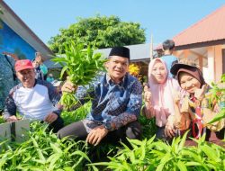 Panen Perdana Sekolah Berbasis Ketahanan Pangan, Bupati Bantaeng Apresiasi SMPN 4 Gatarangkeke